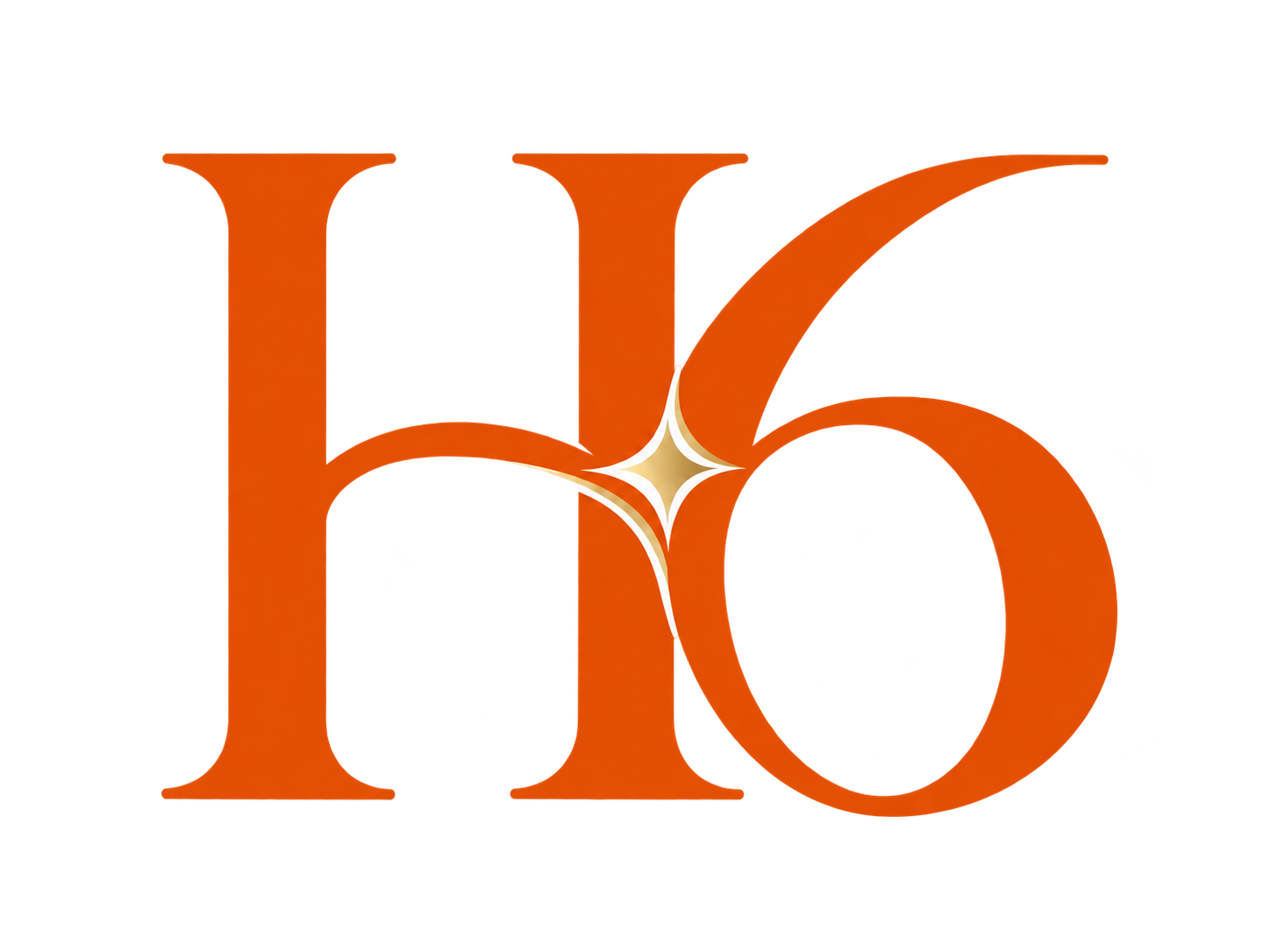 H6 標誌